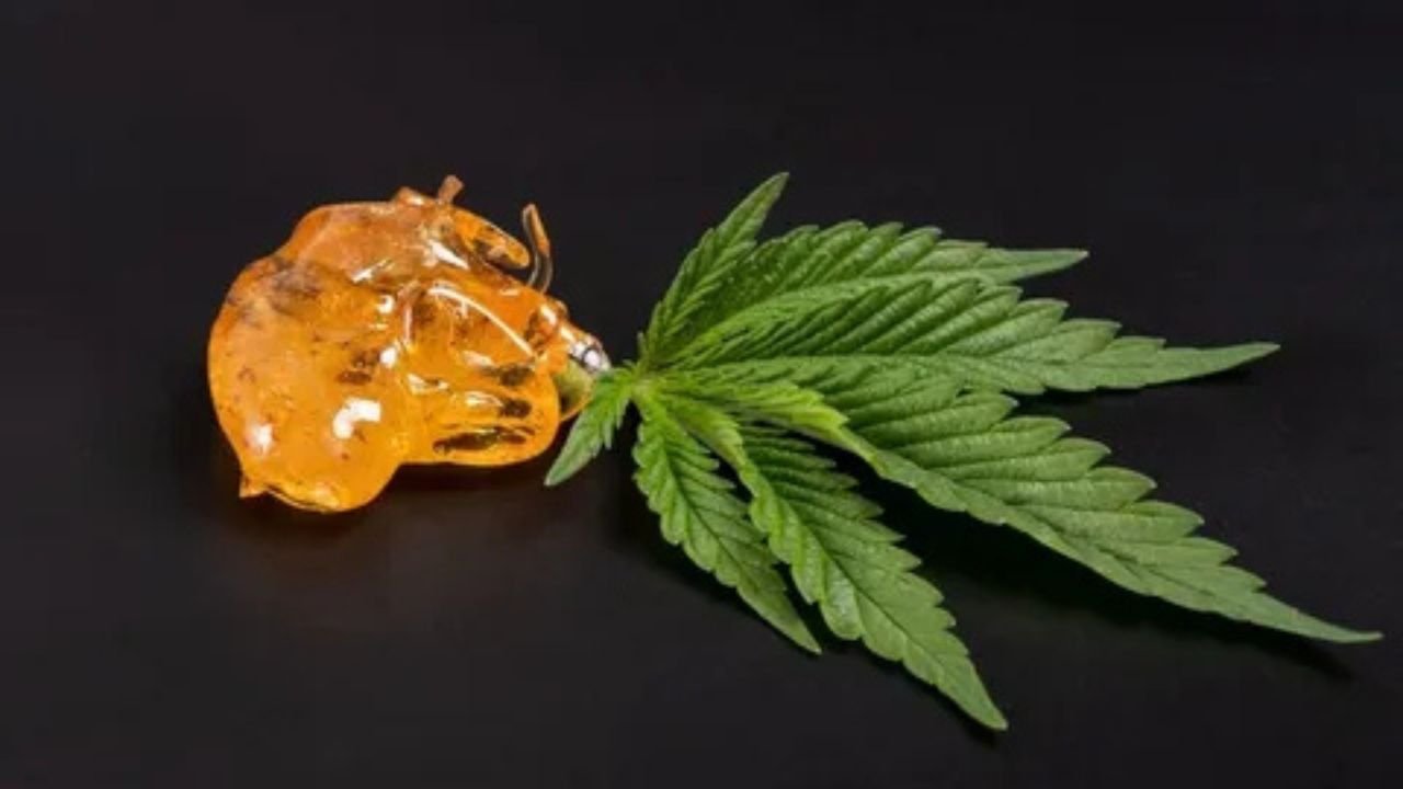 Live Resin vs Distillate