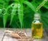 benefits of CBD flower
